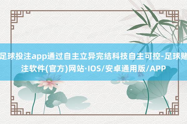 足球投注app通过自主立异完结科技自主可控-足球赌注软件(官方)网站·IOS/安卓通用版/APP