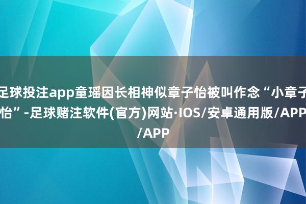 足球投注app童瑶因长相神似章子怡被叫作念“小章子怡”-足球赌注软件(官方)网站·IOS/安卓通用版/APP