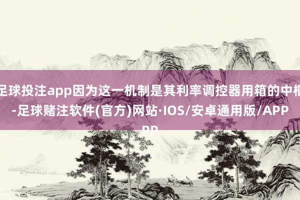 足球投注app因为这一机制是其利率调控器用箱的中枢-足球赌注软件(官方)网站·IOS/安卓通用版/APP