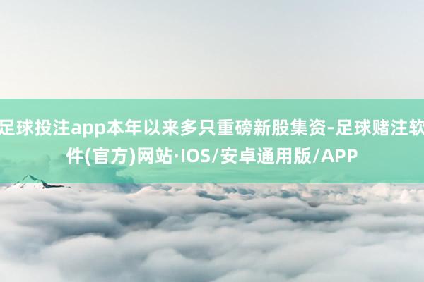 足球投注app本年以来多只重磅新股集资-足球赌注软件(官方)网站·IOS/安卓通用版/APP