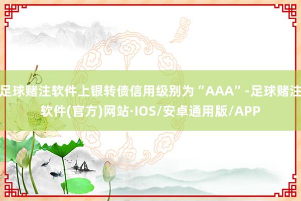 足球赌注软件上银转债信用级别为“AAA”-足球赌注软件(官方)网站·IOS/安卓通用版/APP