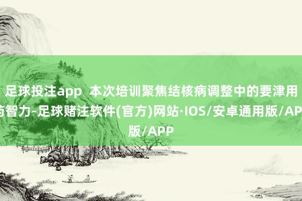 足球投注app 本次培训聚焦结核病调整中的要津用药智力-足球赌注软件(官方)网站·IOS/安卓通用版/APP