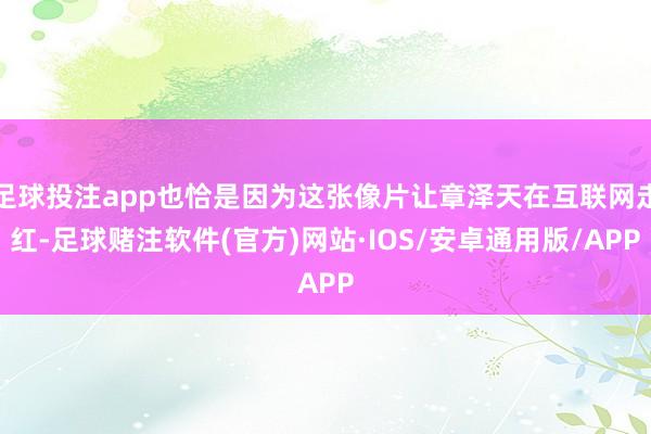 足球投注app也恰是因为这张像片让章泽天在互联网走红-足球赌注软件(官方)网站·IOS/安卓通用版/APP