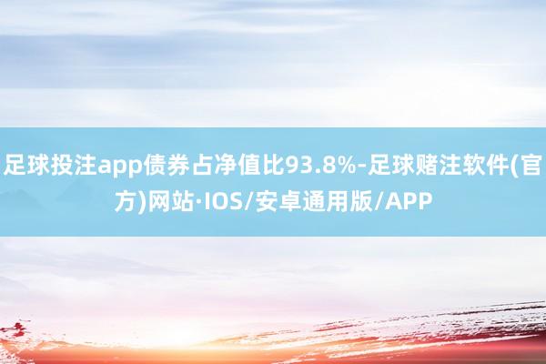 足球投注app债券占净值比93.8%-足球赌注软件(官方)网站·IOS/安卓通用版/APP