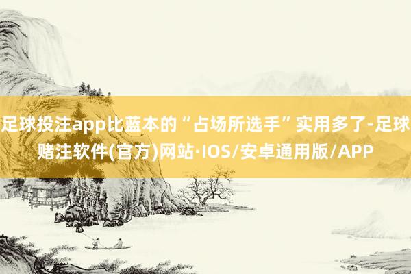 足球投注app比蓝本的“占场所选手”实用多了-足球赌注软件(官方)网站·IOS/安卓通用版/APP