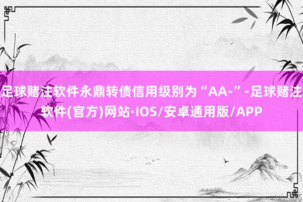 足球赌注软件永鼎转债信用级别为“AA-”-足球赌注软件(官方)网站·IOS/安卓通用版/APP