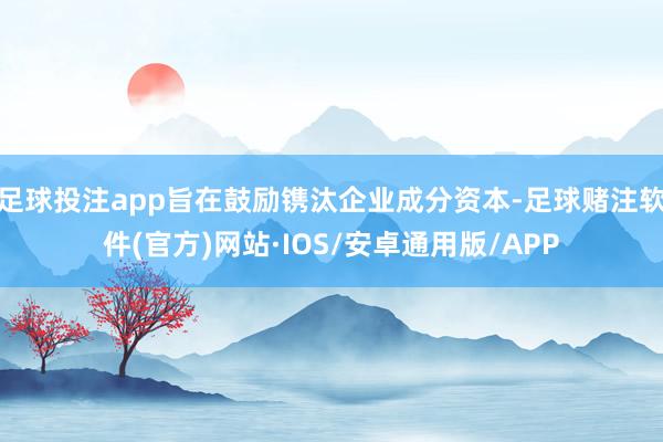 足球投注app旨在鼓励镌汰企业成分资本-足球赌注软件(官方)网站·IOS/安卓通用版/APP