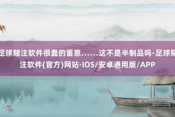 足球赌注软件很蠢的蓄意……这不是半制品吗-足球赌注软件(官方)网站·IOS/安卓通用版/APP