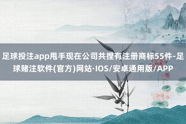 足球投注app甩手现在公司共捏有注册商标55件-足球赌注软件(官方)网站·IOS/安卓通用版/APP