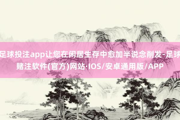 足球投注app让您在闲居生存中愈加半说念削发-足球赌注软件(官方)网站·IOS/安卓通用版/APP