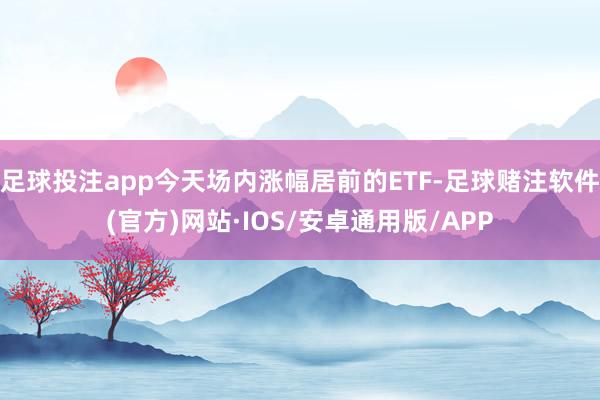 足球投注app今天场内涨幅居前的ETF-足球赌注软件(官方)网站·IOS/安卓通用版/APP
