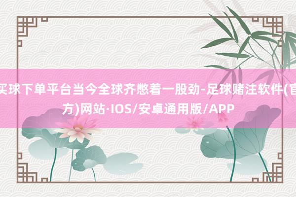 买球下单平台当今全球齐憋着一股劲-足球赌注软件(官方)网站·IOS/安卓通用版/APP