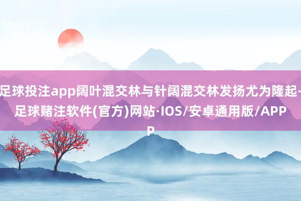 足球投注app阔叶混交林与针阔混交林发扬尤为隆起-足球赌注软件(官方)网站·IOS/安卓通用版/APP