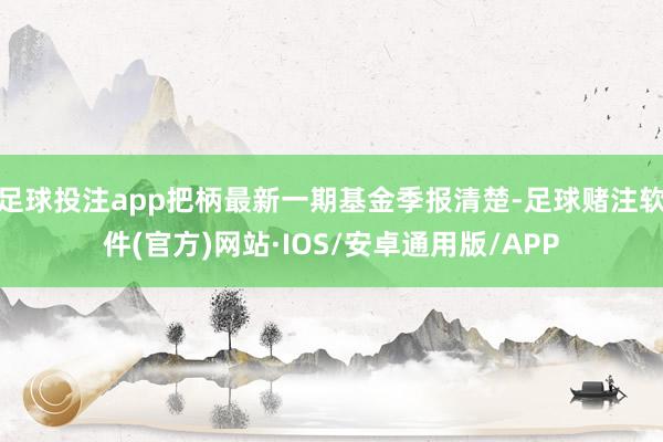 足球投注app把柄最新一期基金季报清楚-足球赌注软件(官方)网站·IOS/安卓通用版/APP