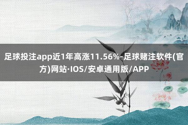 足球投注app近1年高涨11.56%-足球赌注软件(官方)网站·IOS/安卓通用版/APP