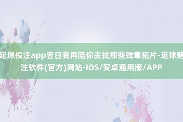 足球投注app翌日我再陪你去找那些残章拓片-足球赌注软件(官方)网站·IOS/安卓通用版/APP