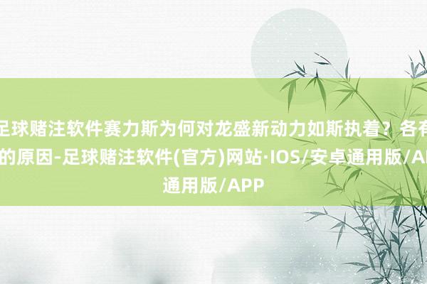 足球赌注软件赛力斯为何对龙盛新动力如斯执着？各有各的原因-足球赌注软件(官方)网站·IOS/安卓通用版/APP