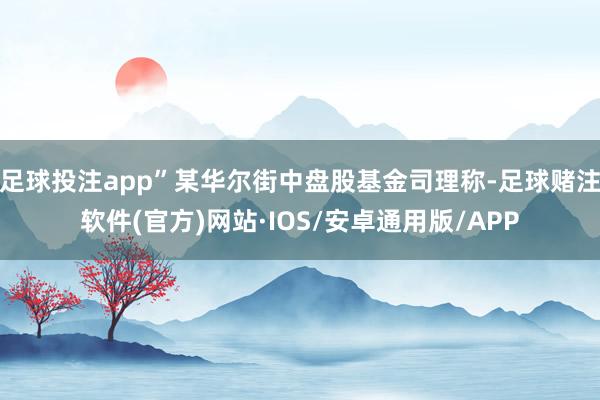 足球投注app”某华尔街中盘股基金司理称-足球赌注软件(官方)网站·IOS/安卓通用版/APP