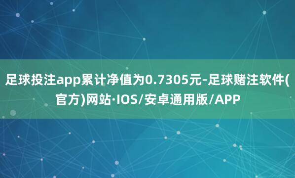 足球投注app累计净值为0.7305元-足球赌注软件(官方)网站·IOS/安卓通用版/APP