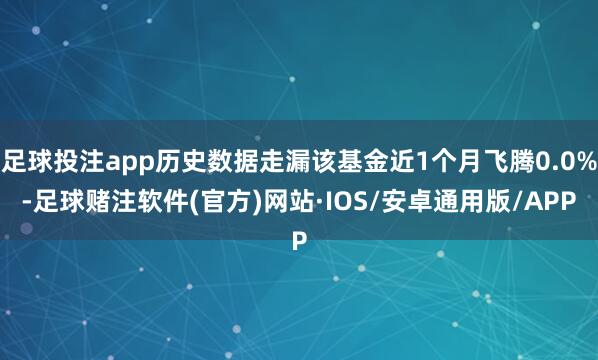 足球投注app历史数据走漏该基金近1个月飞腾0.0%-足球赌注软件(官方)网站·IOS/安卓通用版/APP