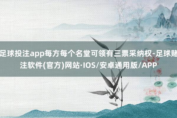 足球投注app每方每个名堂可领有三票采纳权-足球赌注软件(官方)网站·IOS/安卓通用版/APP