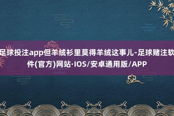 足球投注app但羊绒衫里莫得羊绒这事儿-足球赌注软件(官方)网站·IOS/安卓通用版/APP