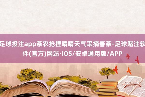 足球投注app茶农抢捏晴晴天气采摘春茶-足球赌注软件(官方)网站·IOS/安卓通用版/APP