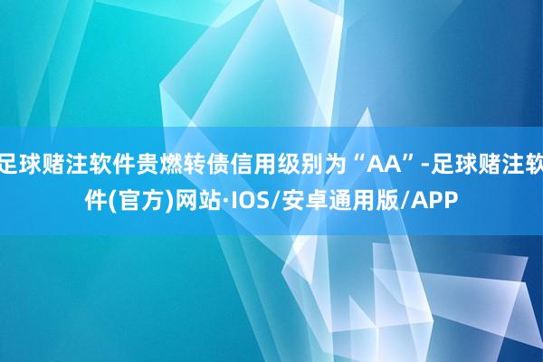 足球赌注软件贵燃转债信用级别为“AA”-足球赌注软件(官方)网站·IOS/安卓通用版/APP