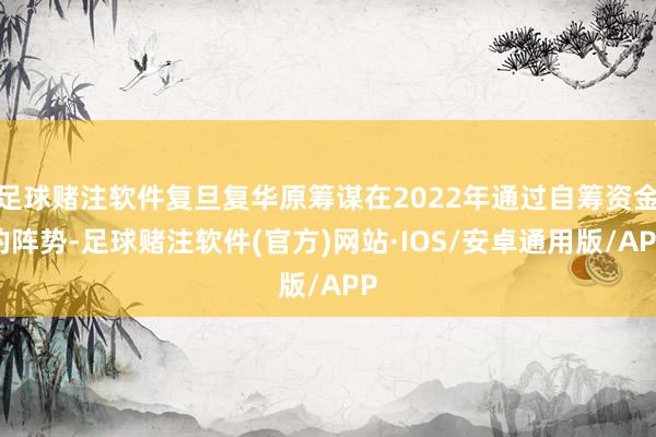 足球赌注软件复旦复华原筹谋在2022年通过自筹资金的阵势-足球赌注软件(官方)网站·IOS/安卓通用版/APP