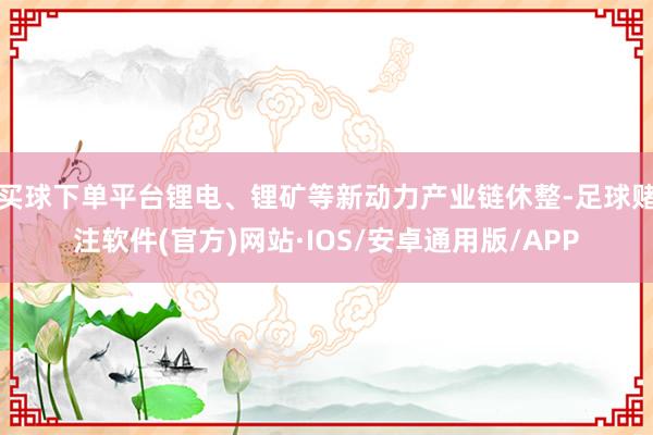 买球下单平台锂电、锂矿等新动力产业链休整-足球赌注软件(官方)网站·IOS/安卓通用版/APP