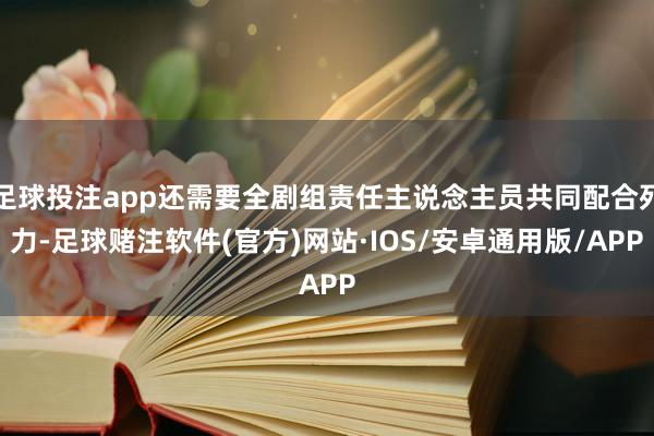 足球投注app还需要全剧组责任主说念主员共同配合死力-足球赌注软件(官方)网站·IOS/安卓通用版/APP