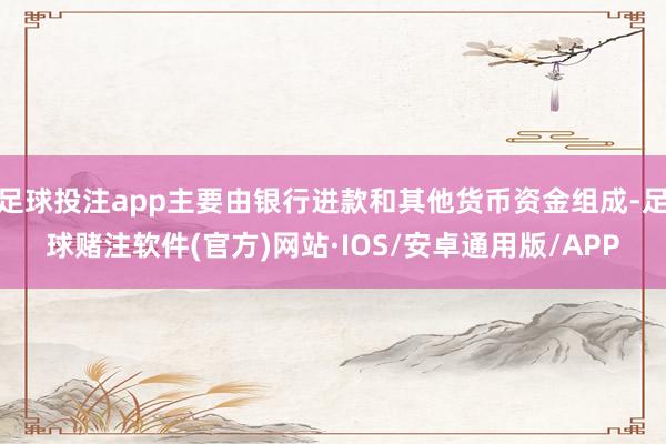 足球投注app主要由银行进款和其他货币资金组成-足球赌注软件(官方)网站·IOS/安卓通用版/APP