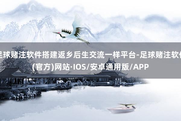 足球赌注软件搭建返乡后生交流一样平台-足球赌注软件(官方)网站·IOS/安卓通用版/APP