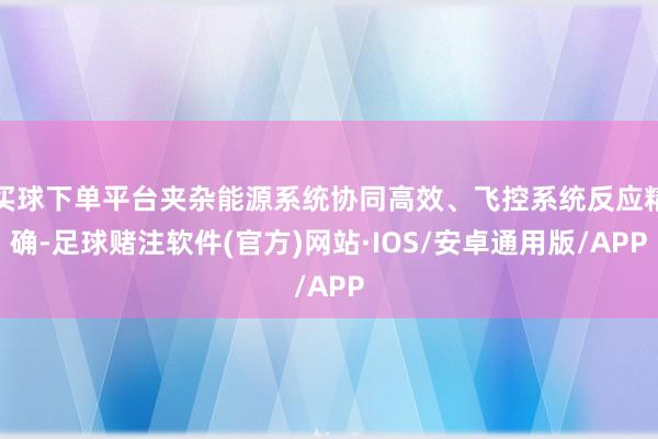 买球下单平台夹杂能源系统协同高效、飞控系统反应精确-足球赌注软件(官方)网站·IOS/安卓通用版/APP