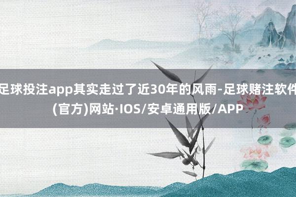 足球投注app其实走过了近30年的风雨-足球赌注软件(官方)网站·IOS/安卓通用版/APP