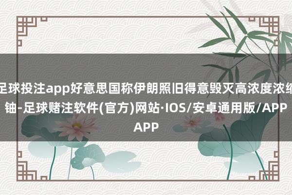 足球投注app好意思国称伊朗照旧得意毁灭高浓度浓缩铀-足球赌注软件(官方)网站·IOS/安卓通用版/APP