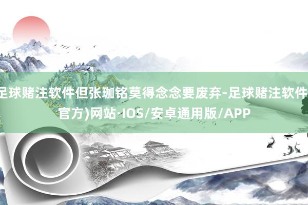 足球赌注软件但张珈铭莫得念念要废弃-足球赌注软件(官方)网站·IOS/安卓通用版/APP