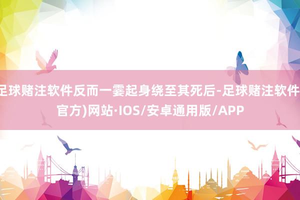 足球赌注软件反而一霎起身绕至其死后-足球赌注软件(官方)网站·IOS/安卓通用版/APP