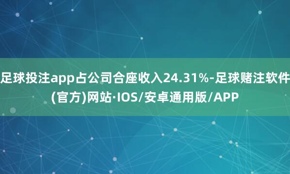足球投注app占公司合座收入24.31%-足球赌注软件(官方)网站·IOS/安卓通用版/APP
