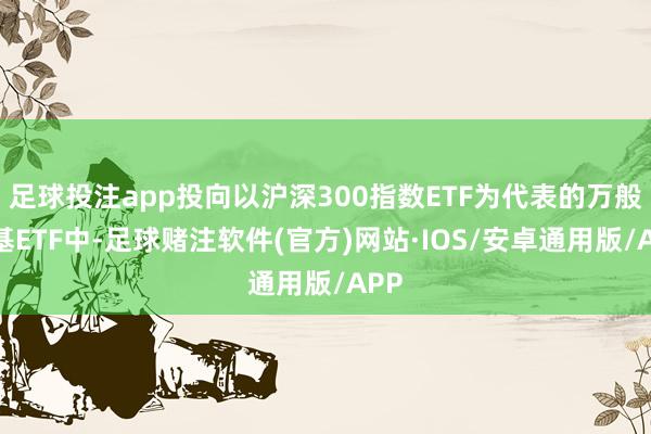 足球投注app投向以沪深300指数ETF为代表的万般宽基ETF中-足球赌注软件(官方)网站·IOS/安卓通用版/APP