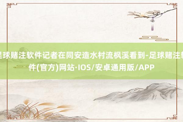 足球赌注软件记者在同安造水村流枫溪看到-足球赌注软件(官方)网站·IOS/安卓通用版/APP