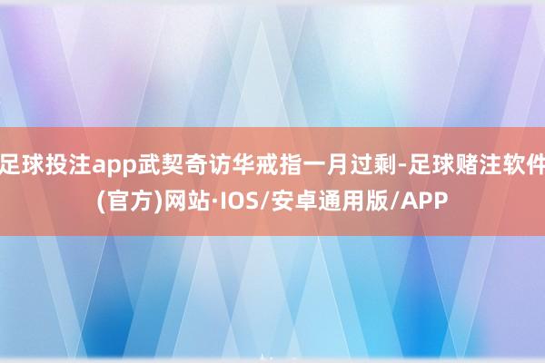 足球投注app武契奇访华戒指一月过剩-足球赌注软件(官方)网站·IOS/安卓通用版/APP