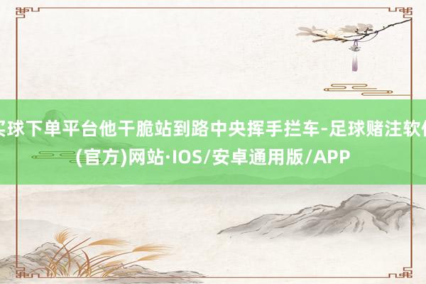 买球下单平台他干脆站到路中央挥手拦车-足球赌注软件(官方)网站·IOS/安卓通用版/APP
