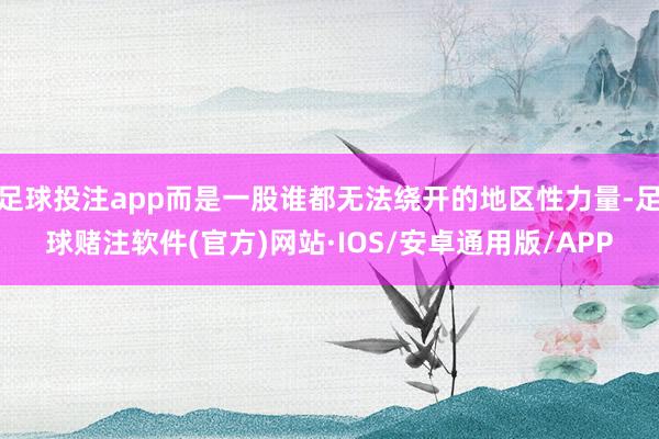 足球投注app而是一股谁都无法绕开的地区性力量-足球赌注软件(官方)网站·IOS/安卓通用版/APP
