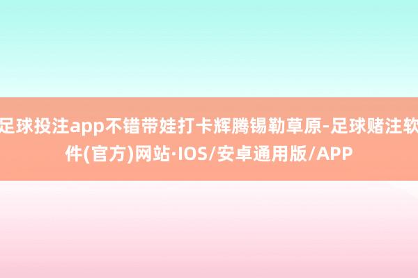 足球投注app不错带娃打卡辉腾锡勒草原-足球赌注软件(官方)网站·IOS/安卓通用版/APP