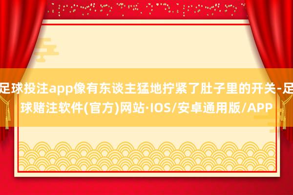 足球投注app像有东谈主猛地拧紧了肚子里的开关-足球赌注软件(官方)网站·IOS/安卓通用版/APP