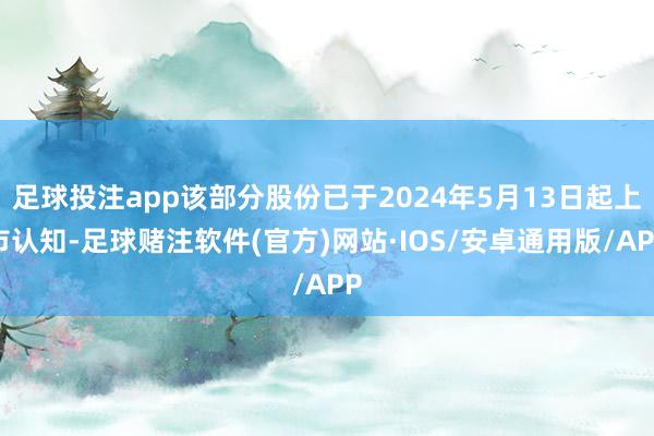 足球投注app该部分股份已于2024年5月13日起上市认知-足球赌注软件(官方)网站·IOS/安卓通用版/APP
